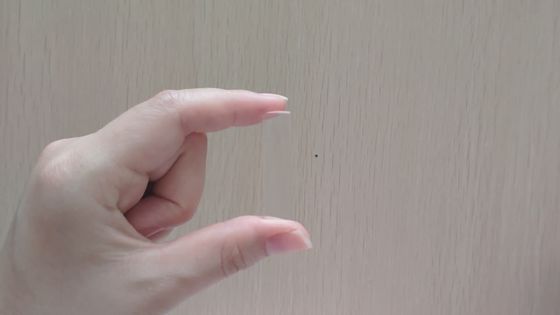 Optical Cylindrical Rectangle Convex Quartz Infrared Lens